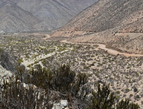 Mejoramiento de camino entre El 22 y cuesta  La Higuera abre expectativa para turismo rural