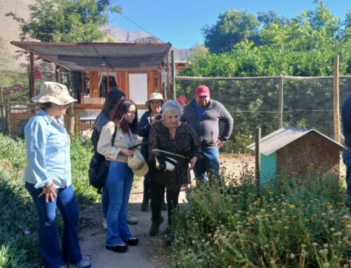 Usuarios (as) de Indap de Combarbalá conocen  experiencias innovadoras de Vicuña y La Serena