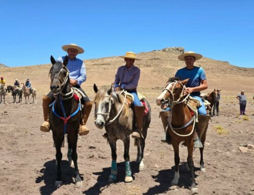 Décima versión del Rodeo de Chaucho revive la tradición campestre