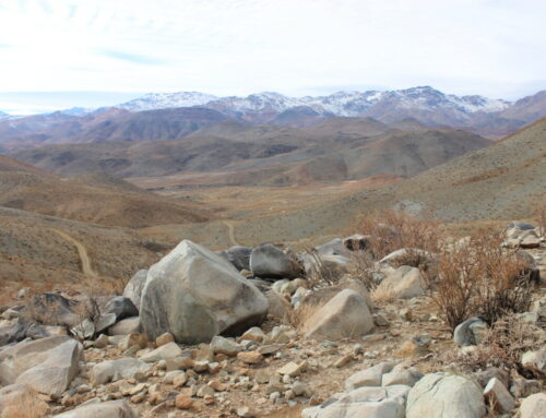 CEAZA proyecta que presencia de fase de El Niño podría generar invierno no tan seco